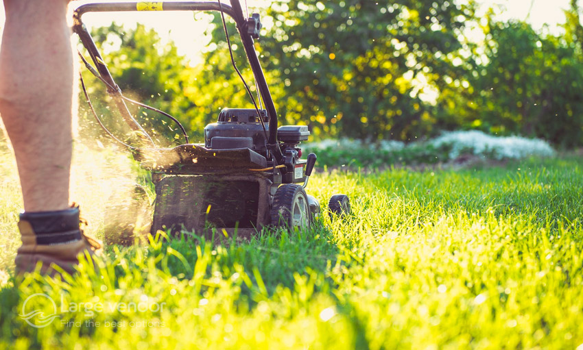 which-lawn-mower-is-best-for-your-garden